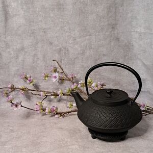 Joyce Chen Elegant Black Cast Iron Teapot